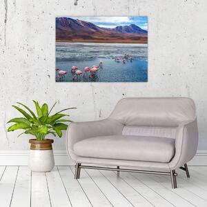 Kép - Flamingók (70x50 cm)