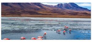 Kép - Flamingók (120x50 cm)