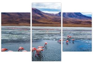 Kép - Flamingók (90x60 cm)