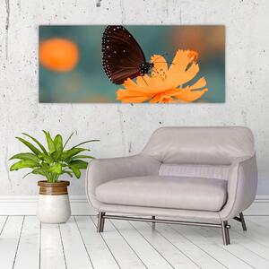 Kép - pillangó narancssárga virágon (120x50 cm)