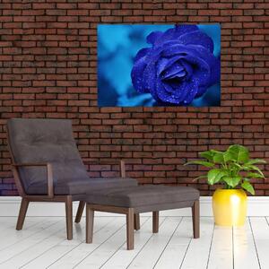 Kék rózsa képe (90x60 cm)