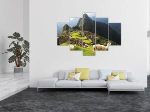 Kép - Lámák Machu Picchuban (150x105 cm)