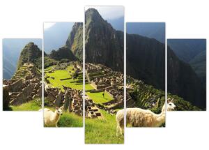 Kép - Lámák Machu Picchuban (150x105 cm)
