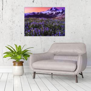 Kép - Vulkán és a virágok (70x50 cm)