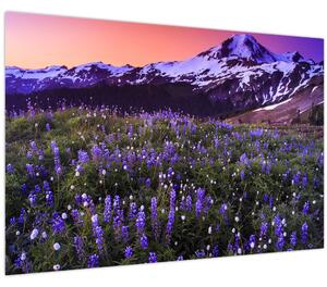 Kép - Vulkán és a virágok (90x60 cm)