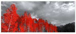 Kép - fák őszi színben (120x50 cm)