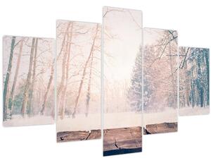 Kép - Kilátás az erdőbe (150x105 cm)
