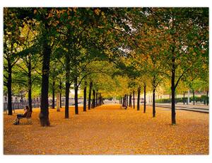 Egy kép az őszi fák sikátorából (70x50 cm)