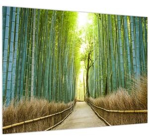 Kép - Sikátor bambuszal (70x50 cm)