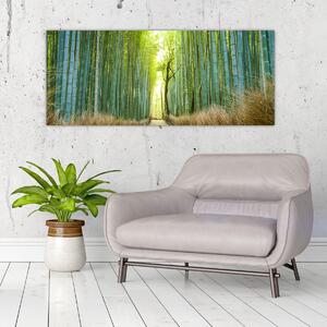 Kép - Sikátor bambuszal (120x50 cm)