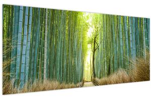 Kép - Sikátor bambuszal (120x50 cm)