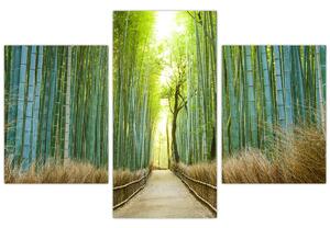 Kép - Sikátor bambuszal (90x60 cm)
