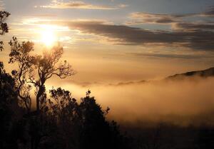 Fotótapéta - Napkelte a ködös erdő fölött (152,5x104 cm)