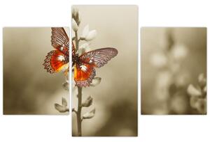 Pillangó képe (90x60 cm)