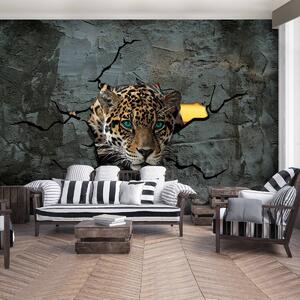 Fotótapéta - Jaguar egy fal mögött (152,5x104 cm)