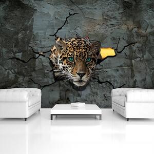 Fotótapéta - Jaguar egy fal mögött (152,5x104 cm)