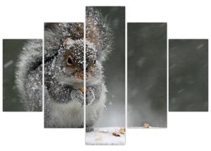 Kép - Mókus télen (150x105 cm)