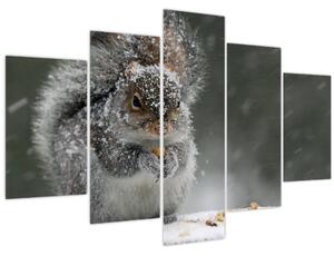 Kép - Mókus télen (150x105 cm)