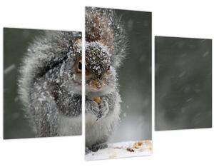 Kép - Mókus télen (90x60 cm)