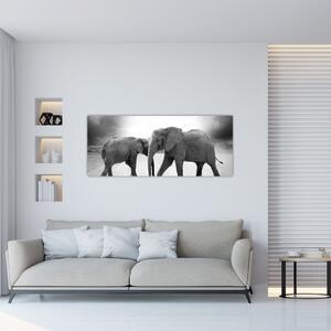 Kép - fekete fehér elefántok (120x50 cm)