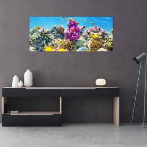 Kép - A tenger világa (120x50 cm)