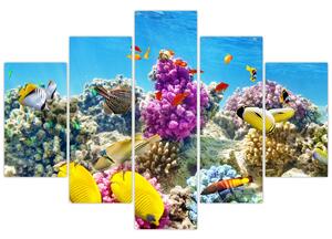 Kép - A tenger világa (150x105 cm)
