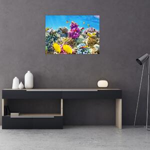 Kép - A tenger világa (70x50 cm)