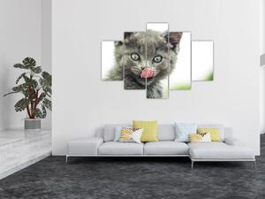 Nyaló cica képe (150x105 cm)