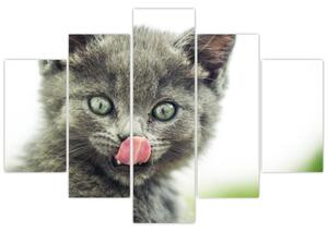 Nyaló cica képe (150x105 cm)
