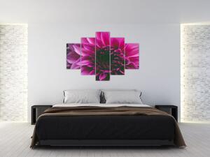 Rózsaszín virág képe (150x105 cm)
