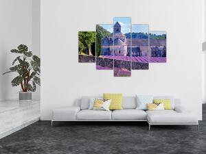 Kép - Levendula mező (150x105 cm)