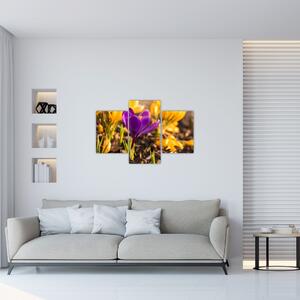 Lila virágok képe (90x60 cm)