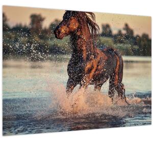 Kép - Futó ló (70x50 cm)