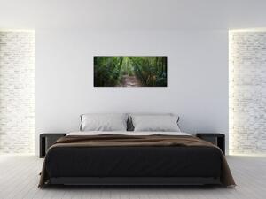 Kép - Napsugarak a dzsungelben (120x50 cm)