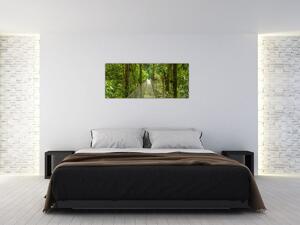 Kép - Függőhíd (120x50 cm)