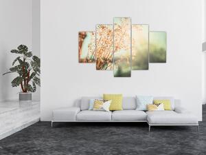 Kép - Réti növények (150x105 cm)