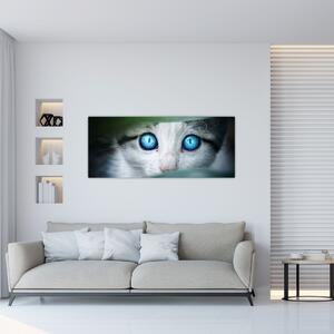 Macska képe (120x50 cm)