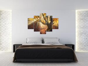 Kép - Őszi fény (150x105 cm)