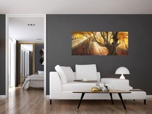 Kép - Őszi fény (120x50 cm)