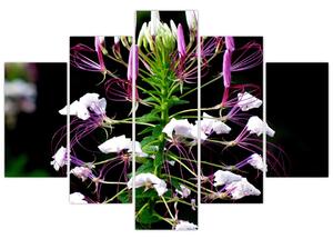 Virágos kép (150x105 cm)