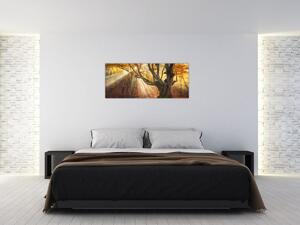 Kép - Őszi fény (120x50 cm)