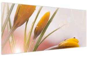 Kép - Tavaszi virágok (120x50 cm)
