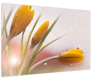 Kép - Tavaszi virágok (90x60 cm)