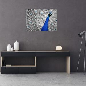 Kék páva képe (70x50 cm)