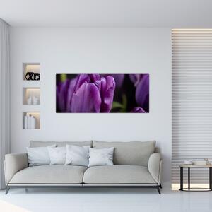 Tulipán vírág képe (120x50 cm)
