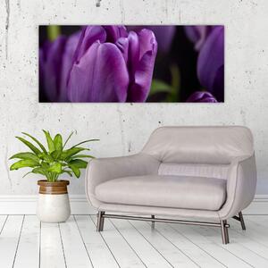 Tulipán vírág képe (120x50 cm)