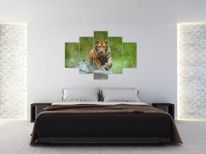 Kép - Futó tigris (150x105 cm)