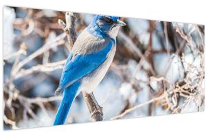 Kép - Téli madár (120x50 cm)
