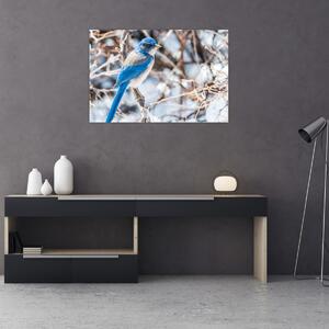 Kép - Téli madár (90x60 cm)