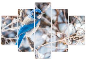 Kép - Téli madár (150x105 cm)